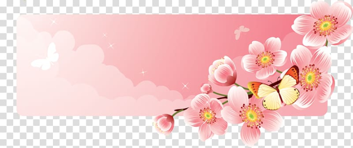 computer wallpaper,color,flower garden,spring,floral design,rose,pink,blossom,petal,nature,cherry blossom,stock photography,flower,banner,png clipart,free png,transparent background,free clipart,clip art,free download,png,comhiclipart