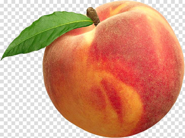 peach,natural foods,food,united states,fruit  nut,cherry,plum,mcintosh,local food,computer icons,apple,palisade,nectarine,drupe,apricot,fruit,png clipart,free png,transparent background,free clipart,clip art,free download,png,comhiclipart
