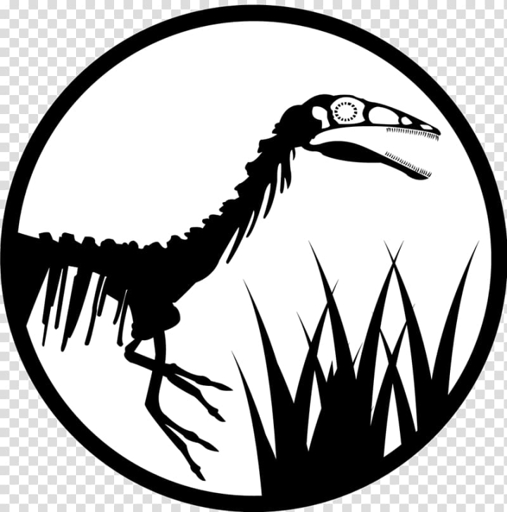 Free: Compsognathus Velociraptor Line art Logo Jurassic Park