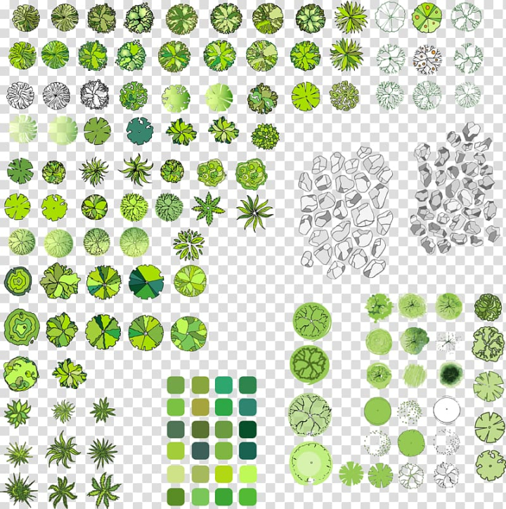 Tree Plan PNG Vector PSD and Clipart With Transparent Background for  Free Download  Pngtree