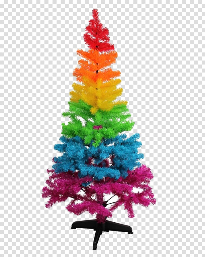 christmas,tree,decoration,nativity,scene,color,color splash,holidays,decor,christmas decoration,palm tree,christmas lights,spruce,holiday ornament,angel,christmas frame,child jesus,pine family,nativity scene,jesus,house beautiful,color smoke,christmas ornament,ghost of christmas past,fir,festival,christmas tree,conifer,png clipart,free png,transparent background,free clipart,clip art,free download,png,comhiclipart