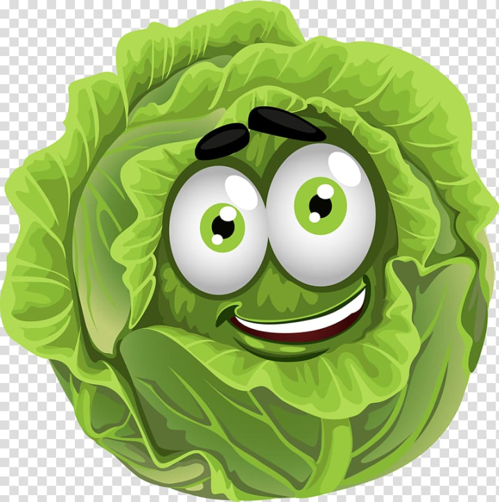 chinese cabbage clip art