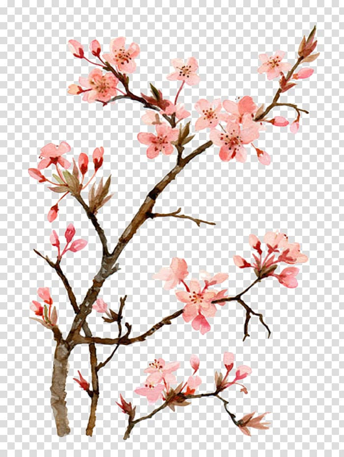 Flower Tree Drawing Sketch, hawthorn, leaf, branch png | PNGEgg