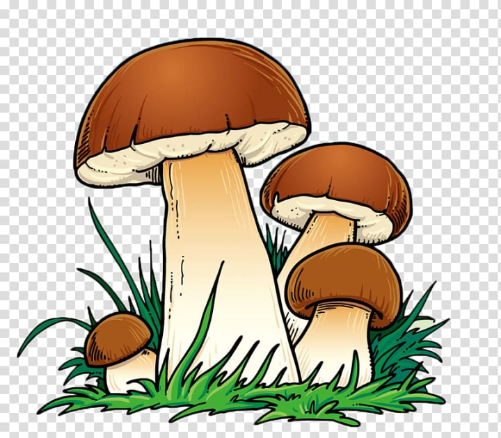 lovely,color,love,watercolor painting,color splash,food,love couple,shiitake,cartoon eyes,vegetable,nature,enokitake,edible mushroom,color smoke,cartoon couple,boy cartoon,balloon cartoon,mushroom,cartoon,png clipart,free png,transparent background,free clipart,clip art,free download,png,comhiclipart