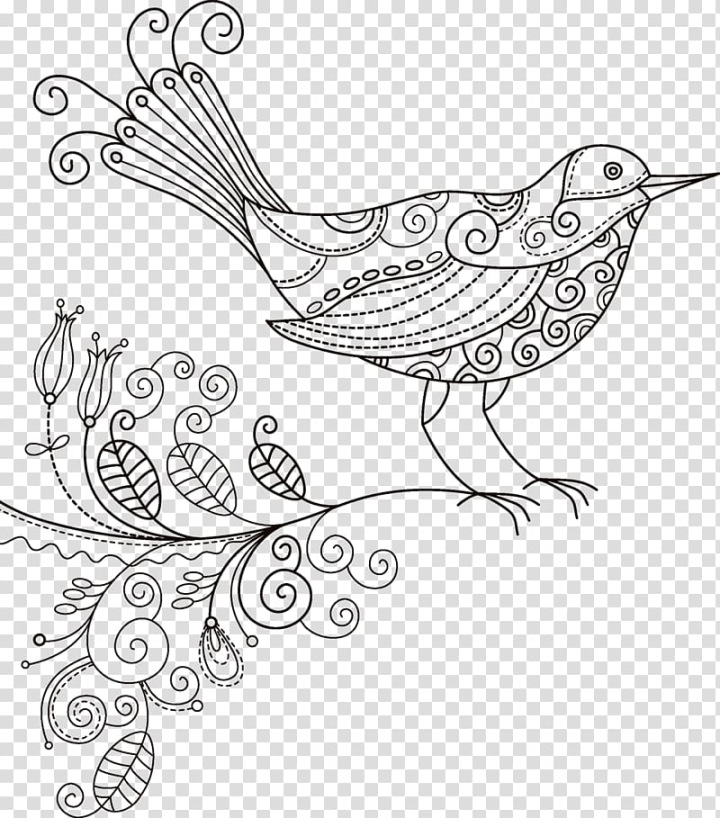 Birds Drawing Design - Sketch, HD Png Download , Transparent Png Image -  PNGitem