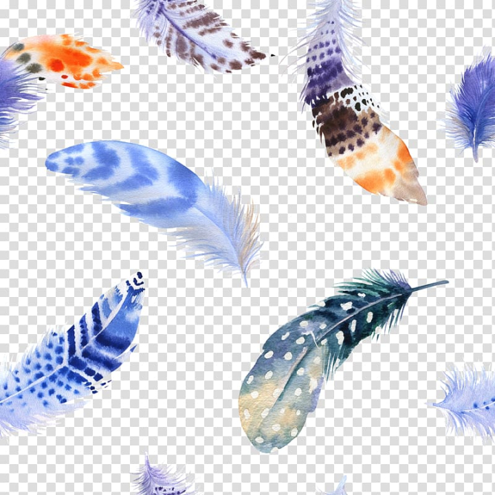 Peacock Feather Images  Free Photos, PNG Stickers, Wallpapers