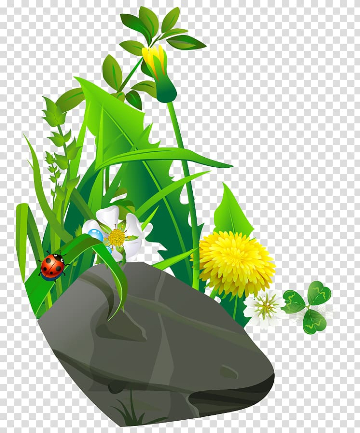 Free: Cartoon Ladybird Drawing, Cartoon painted stone flowers grass  ladybird transparent background PNG clipart 
