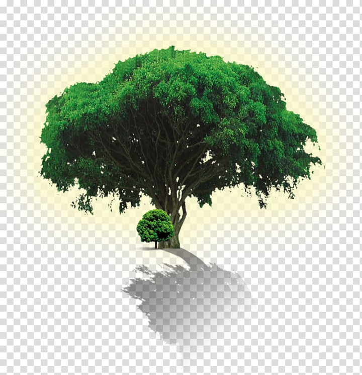 environmental,protection,green,tree,leaf,tree branch,service,color,palm tree,grass,banner,pine tree,world environment day,family tree,web banner,woody plant,publicity,trees,plant,nature,houseplant,flowerpot,christmas tree,autumn tree,advertising,environmental protection,poster,green - tree,png clipart,free png,transparent background,free clipart,clip art,free download,png,comhiclipart