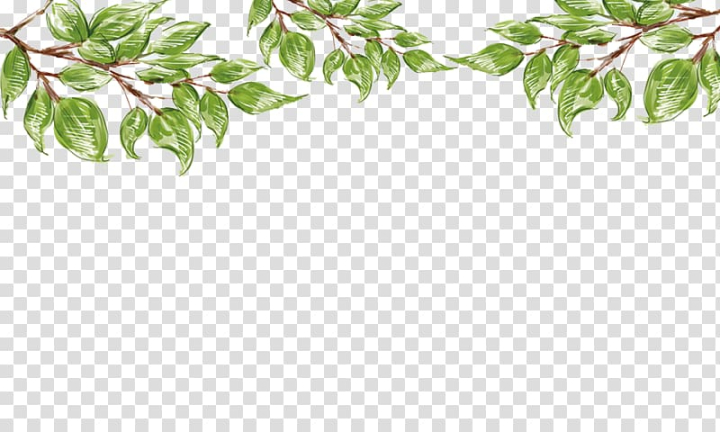 Yl PNG Transparent Images Free Download, Vector Files