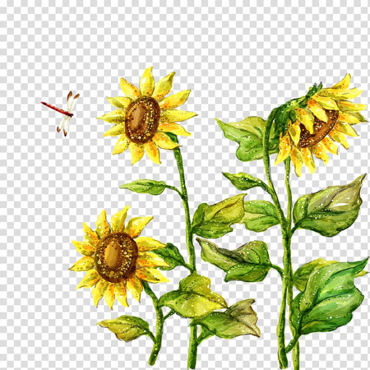 fukei,sunflower,landscape,plant stem,sunflower seed,cartoon,flower,painting,flowers,dahlia,daisy family,sunflowers,sunflower oil,watercolor sunflower,sunflower watercolor,common sunflower,sunflower seeds,sunflower border,flowering plant,plant,dragonfly,landscape photography,watercolor sunflowers,drawing,illustration,png clipart,free png,transparent background,free clipart,clip art,free download,png,comhiclipart