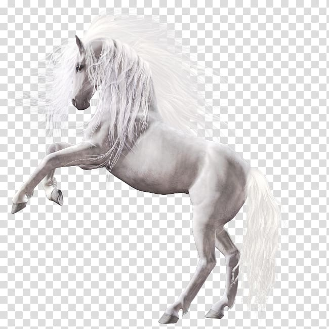 horse icon png