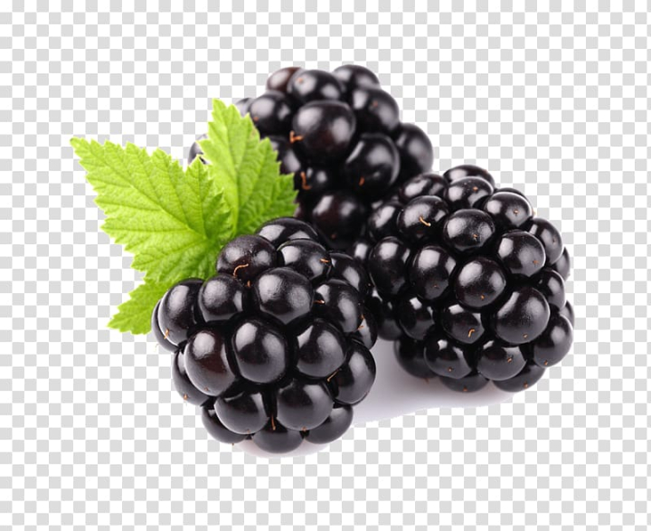 frutti di bosco,food,royaltyfree,superfood,fruit  nut,bilberry,red mulberry,rubus,raspberries blackberries and dewberries,loganberry,healthy diet,berry,dewberry,bramble,boysenberry,tayberry,blackberry,fruit,raspberry,png clipart,free png,transparent background,free clipart,clip art,free download,png,comhiclipart