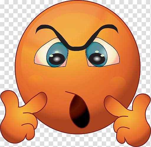 emoticon,smiley,anger,annoyed,face,orange,computer wallpaper,online chat,cartoon,snout,pumpkin,organism,symbol,smile,nose,free content,emoji,computer icons,blog,wink,png clipart,free png,transparent background,free clipart,clip art,free download,png,comhiclipart