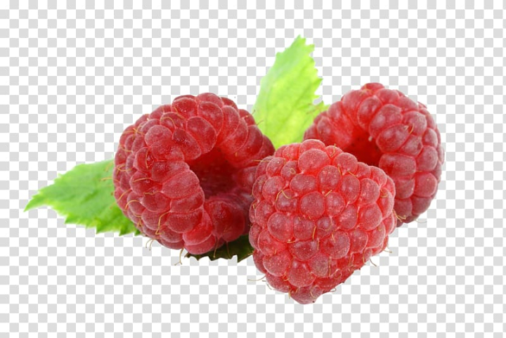 raspberry,vinegar,natural foods,frutti di bosco,food,strawberries,red raspberry,superfood,fruit  nut,orange fruit,raspberries blackberries and dewberries,tayberry,red,red raspberry leaf,strawberry,rosaceae,raspberries,apple fruit,berry,black raspberry,blackberry,boysenberry,dessert,fruit juice,fruit logo,fruits,local food,loganberry,west indian raspberry,raspberry vinegar,parfait,fruit,png clipart,free png,transparent background,free clipart,clip art,free download,png,comhiclipart