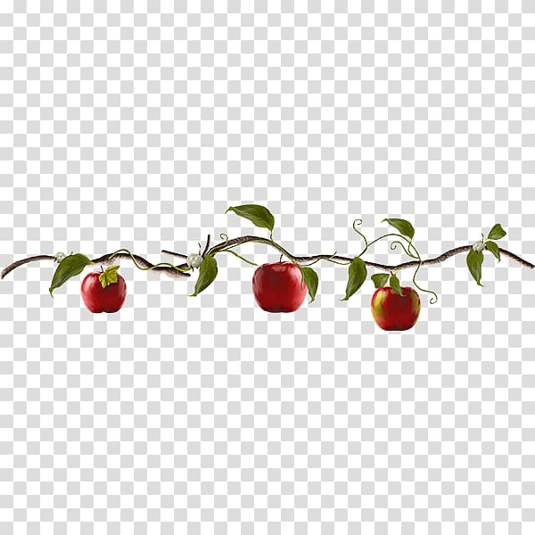 apple,tree,food,tree branch,branch,palm tree,twig,pine tree,encapsulated postscript,cherry,family tree,christmas tree,trees,animation,software,ripe apples,ripe,red apple,red,apple fruit,nature,apple tree,apples,adobe illustrator,fruit,creative,png clipart,free png,transparent background,free clipart,clip art,free download,png,comhiclipart
