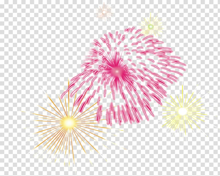 lunar,new,year,color splash,holidays,color pencil,colors,new year  ,flower,color powder,magenta,bainian,encapsulated postscript,firework,pink,point,chinese new year,closeup,color smoke,petal,line,graphic design,flowering plant,flora,festival,firecracker,fireworks,lunar new year,color,png clipart,free png,transparent background,free clipart,clip art,free download,png,comhiclipart
