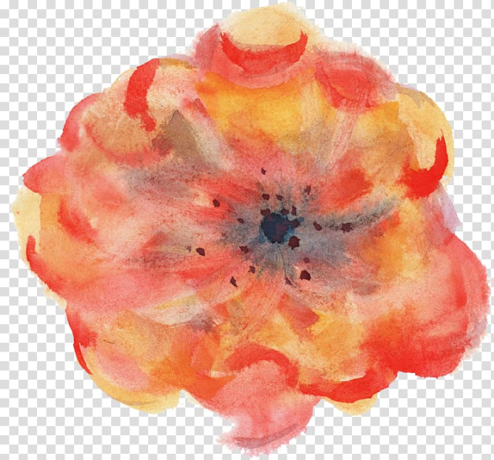 watercolor,painting,orange,color,flower,paint,poppy family,poppy,petal,peach,nature,computer icons,watercolour flowers,watercolour,flowers,watercolor painting,png clipart,free png,transparent background,free clipart,clip art,free download,png,comhiclipart