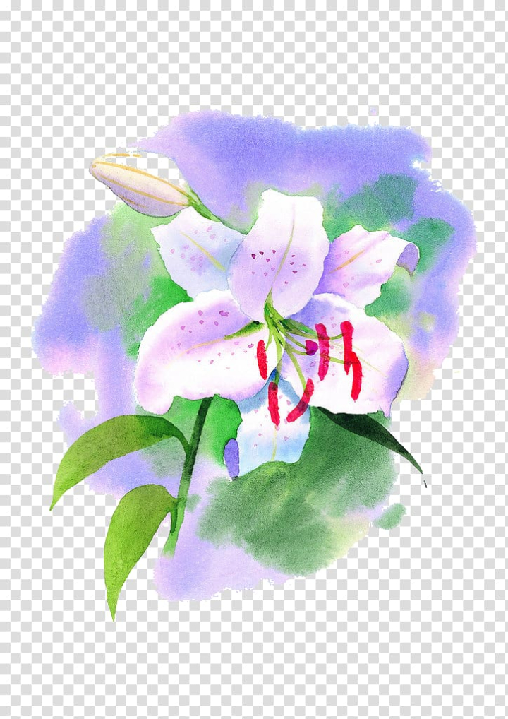 water,lily,watercolor,painting,purple,flower arranging,painted,violet,paint,lilac,spring,violet family,lilies,pink flowers,white lilies,pixel,plant,watercolor paint,stockxchng,petal,arumlily,calla lily,flora,floral design,floristry,flowering plant,lily flower,lily of the valley,moth orchid,nature,white lily,lilium,flower,water lily,watercolor painting,png clipart,free png,transparent background,free clipart,clip art,free download,png,comhiclipart