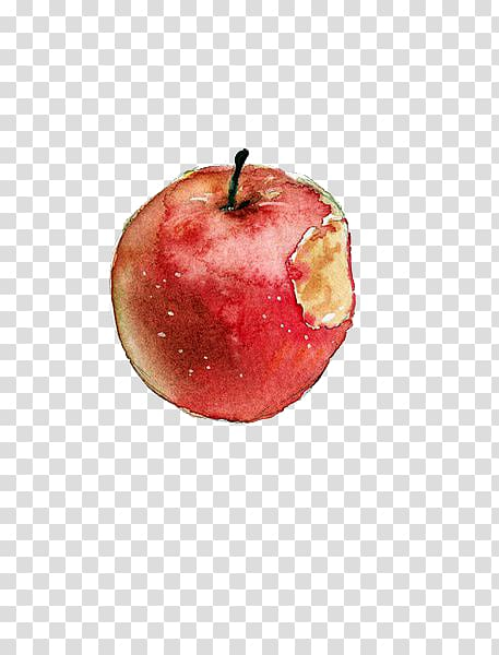 Drawing green apple food image Royalty Free Vector Image