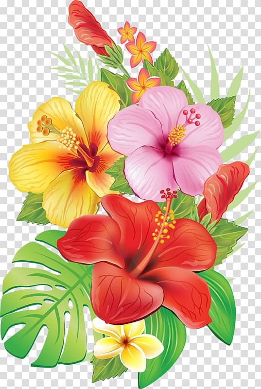 flamingos,herbaceous plant,flower arranging,annual plant,malvales,painting,royaltyfree,peruvian lily,nature,petal,plant,mallow family,alstroemeriaceae,hibiscus,flowering plant,flower bouquet,floristry,floral design,cut flowers,chinese hibiscus,seed plant,drawing,flower,red,yellow,purple,flowers,png clipart,free png,transparent background,free clipart,clip art,free download,png,comhiclipart