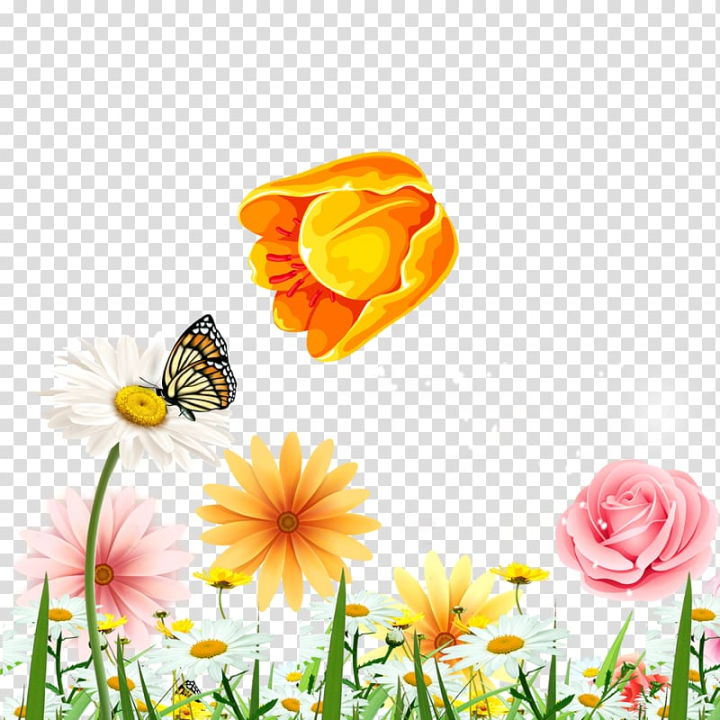 Floral Butterfly PNGs for Free Download