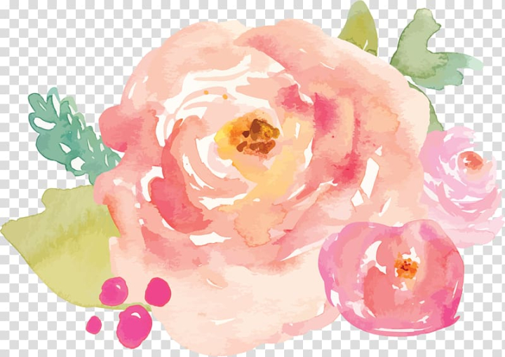 Pastel roses Stock Photos, Royalty Free Pastel roses Images