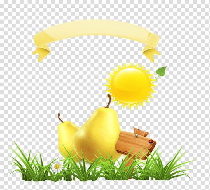 euclidean,banners,sun,food,grass,happy birthday vector images,grape,flower,encapsulated postscript,sun rays,fruit,ribbon banner,scroll,vector banner art,banners vector,vector banners,sun vector,plant,pear,banner design,banner vector,christmas banner,flowering plant,adobe illustrator,nature,yellow,euclidean vector,png clipart,free png,transparent background,free clipart,clip art,free download,png,comhiclipart