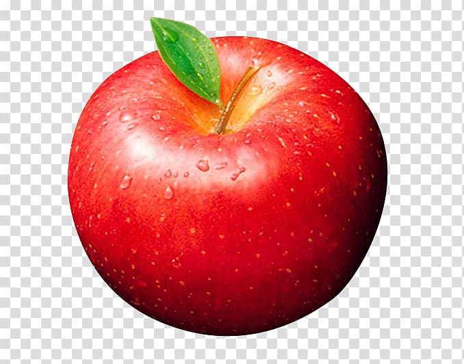 McIntosh Apple