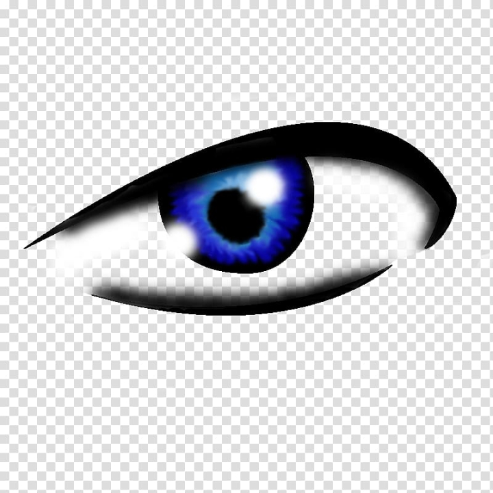 human,eye,eyes,blue,face,people,anger,organ,eyelash,eyebrow,angry faces,symbol,human eye,angry,faces,drawing,anime,png clipart,free png,transparent background,free clipart,clip art,free download,png,comhiclipart