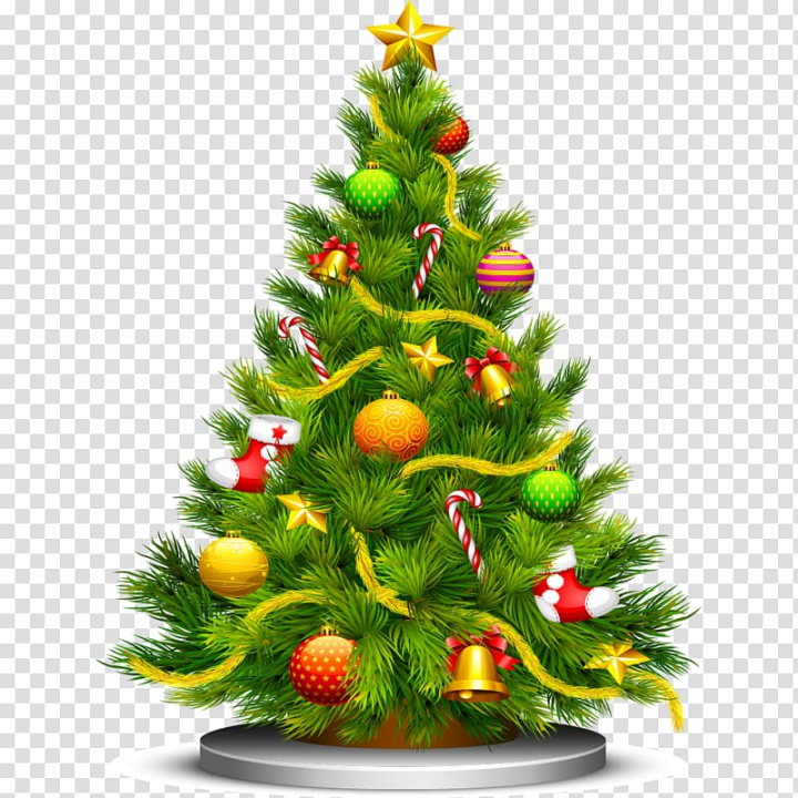 Christmas Tree Branches Background On Transparent Background Stock