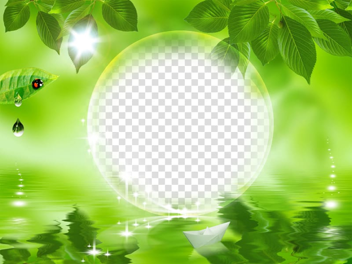 frames,natural,miscellaneous,leaf,others,drop,photomontage,computer wallpaper,grass,sphere,sunlight,sky,tree,personalization,thumbnail,nature photography,camera,computer icons,daytime,energy,green,moisture,animation,nature,water,picture frames,blog,png clipart,free png,transparent background,free clipart,clip art,free download,png,comhiclipart