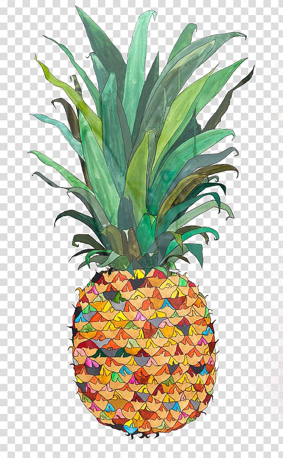 Drawing of pineapple isolated on transparent background for usage as an  illustration, food, fruits and eating concept 26799325 PNG