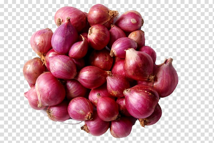 Group Thai red onion or Shallots. Fresh purple shallots on white  background. Selected focus. Concept of spices in healthy cooking 9629790  Stock Photo at Vecteezy