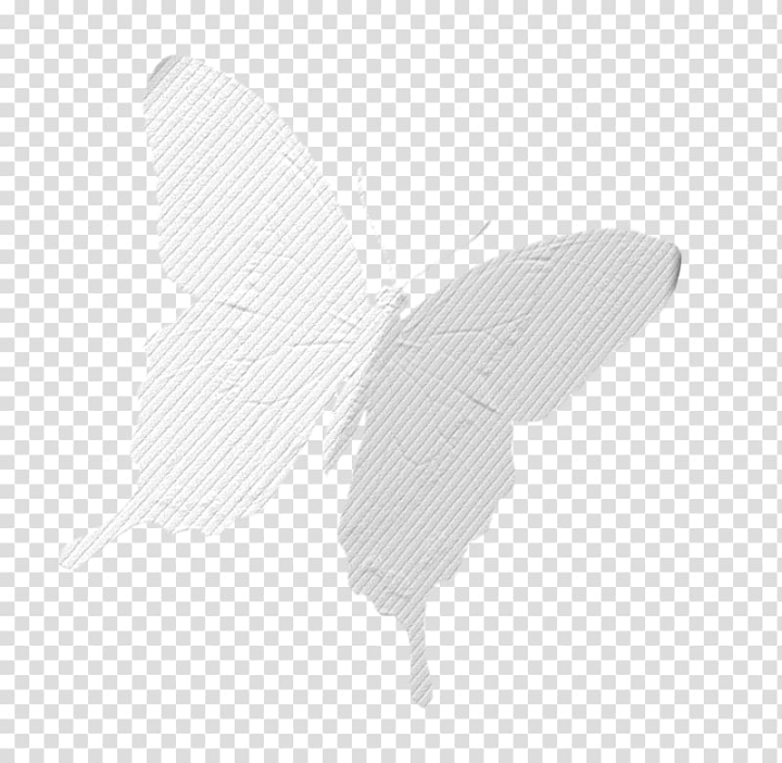 butterfly,white,hand,black white,insects,black,paper texture,wood texture,white flower,white smoke,textures,wing,white butterfly,pollinator,moths and butterflies,invertebrate,insect,hand butterfly,black and white,arthropod,moth,texture,png clipart,free png,transparent background,free clipart,clip art,free download,png,comhiclipart