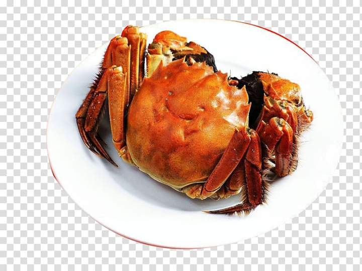 chinese,mitten,crab,yangcheng,lake,gucheng,giant,mud,food,crustacean,animals,seafood,recipe,eating,animal source foods,crab meat,chinese mitten crab,red crab,yangcheng lake,watercolor crab,hermit crabs,king crab,shanghai food,red,gucheng lake,giant mud crab,aquaculture,autumn,banquet,cartoon crab,chilli crab,crab cartoon,crab vector,crabs,decapoda,dish,dungeness crab,yangcheng lake large crab,png clipart,free png,transparent background,free clipart,clip art,free download,png,comhiclipart