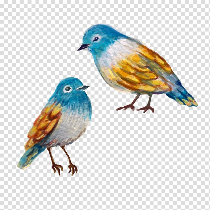watercolor,painting,birds,animals,hand,natural,fauna,love birds,bird cage,animal,paint,feather,perching bird,paint splatter,paint splash,paint brush,organism,india ink,hand painted,euclidean vector,bluebird,beak,bird,finch,watercolor painting,png clipart,free png,transparent background,free clipart,clip art,free download,png,comhiclipart