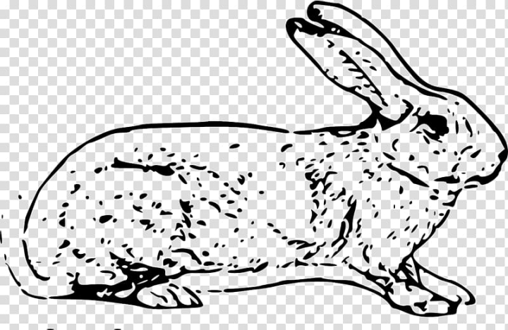 Easter Rabbit PNG Transparent Images Free Download