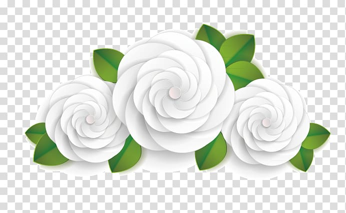 euclidean,white,peony,spiral,black white,flower,encapsulated postscript,rose order,gardenia,u0e27u0e31u0e19u0e41u0e21u0e48u0e41u0e2bu0e48u0e07u0e0au0e32u0e15u0e34,adobe illustrator,white background,white flower,white flowers,white smoke,rose family,rose,petal,background white,cut flowers,floral design,green,nature,peony vector,white vector,euclidean vector,white peony,png clipart,free png,transparent background,free clipart,clip art,free download,png,comhiclipart