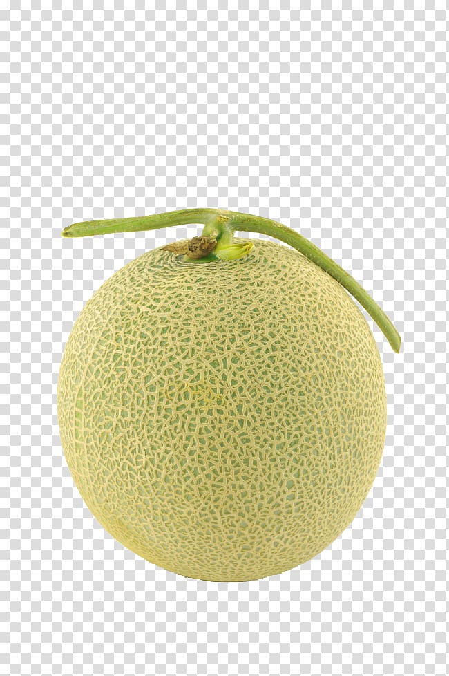 Free: Yellow-and-green cantaloupe fruit, Hami melon Honeydew Cantaloupe,  Melon transparent background PNG clipart 