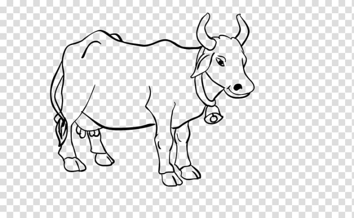 water buffalo outline