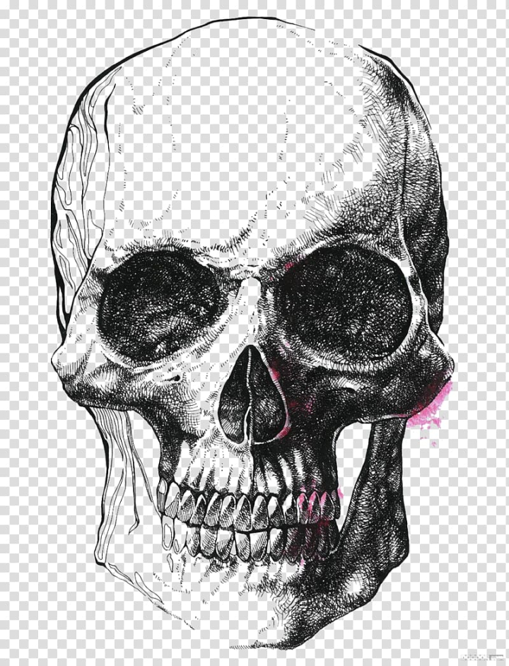 Free: Skull sketch illustration, Human skull symbolism Drawing Skeleton  Illustration, Simple black and white skeleton illustrator transparent  background PNG clipart - nohat.cc