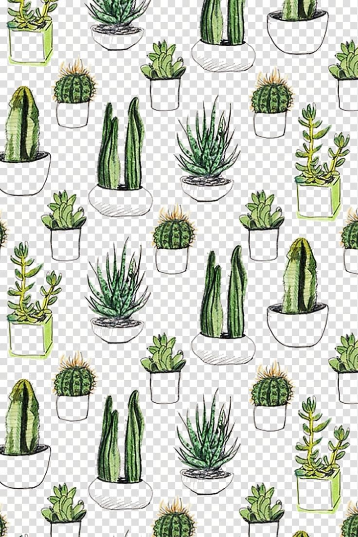 Free: Cacti illustration, Paper Cactaceae Cacti & Succulents Printmaking  Succulent plant, Cactus background shading transparent background PNG  clipart 