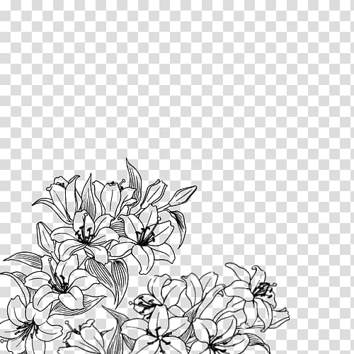 Free: Drawing Flower Art , flower transparent background PNG clipart -  