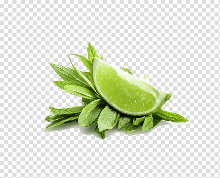 water,mint,mentha,spicata,leaves,lemon,watercolor leaves,food,leaf,citrus,banana leaves,fall leaves,leaves pattern,palm leaves,fruit,nature,plant,seed,vegetable,mint leaf,lemon balm,key lime,herb,green,autumn leaves,auglis,peppermint,water mint,mentha spicata,lime,mint leaves,png clipart,free png,transparent background,free clipart,clip art,free download,png,comhiclipart
