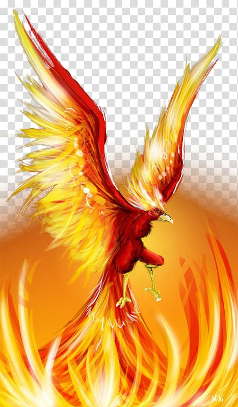wings,fire,lines,effect,legendary creature,orange,vertebrate,computer wallpaper,mobile phone,light effect,fictional character,abstract lines,bird,flame,stock photography,yellow,light effects,line,wing,text effect,petal,iphone,home screen,aptoide,beak,closeup,curved lines,cute birds,drawing,fantasy,golden,golden flame,yellow flame,phoenix,firebird,cute,birds,eagle,animated,red,png clipart,free png,transparent background,free clipart,clip art,free download,png,comhiclipart