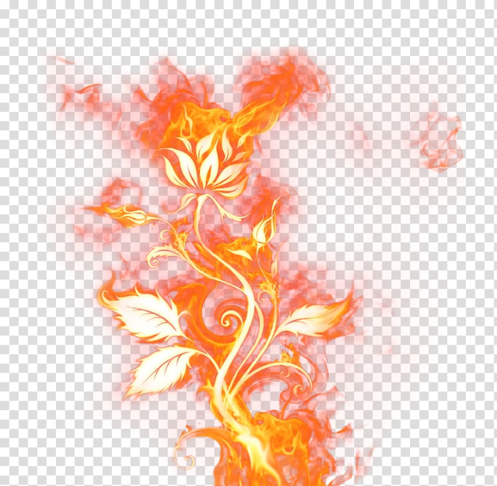 light,fire,orange,computer wallpaper,flower,desktop wallpaper,smoke,flame,rose,rendering,red,photoscape,petal,nature,png clipart,free png,transparent background,free clipart,clip art,free download,png,comhiclipart