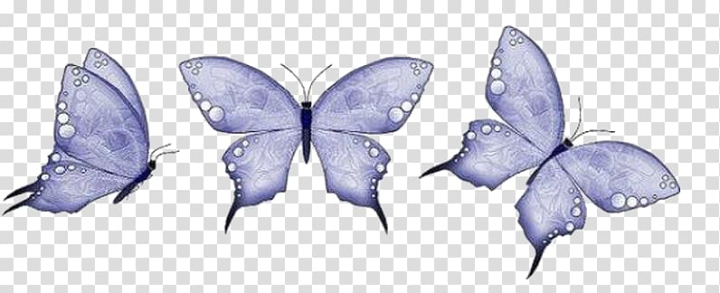 Free: Butterfly Animation, butterfly transparent background PNG clipart -  