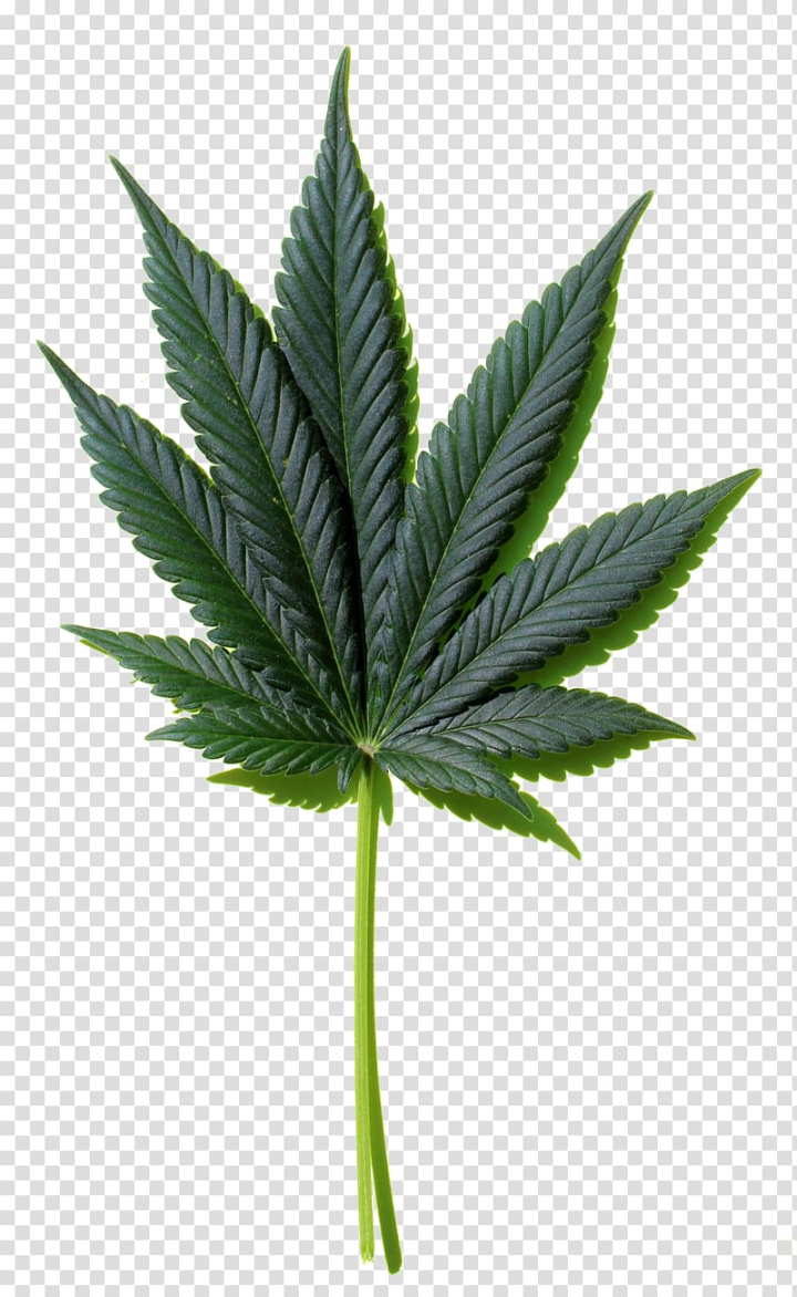 1,966 Cannabis wallpaper Vector Images | Depositphotos