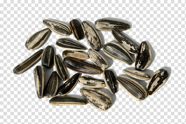 sunflower,seed,common,kuaci,melon,close,peanut,hands up,material,fruit  nut,metal,up,seeds,pumpkin seed,snack,thumbs up,snacks,roll up,closeup,object,mock up,melon seeds peanut,melon seed closeup,material object,vecteur,sunflower seed,common sunflower,melon seed,close-up,png clipart,free png,transparent background,free clipart,clip art,free download,png,comhiclipart