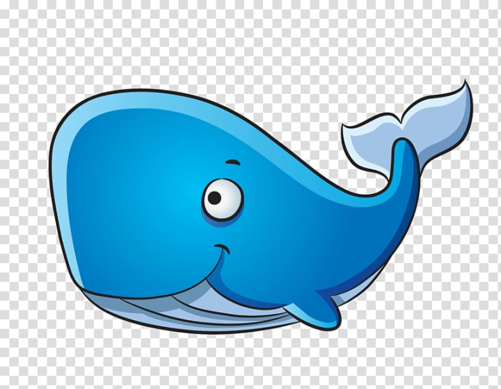 Learn How to Draw a Blue Whale Other Animals Step by Step  Drawing  Tutorials